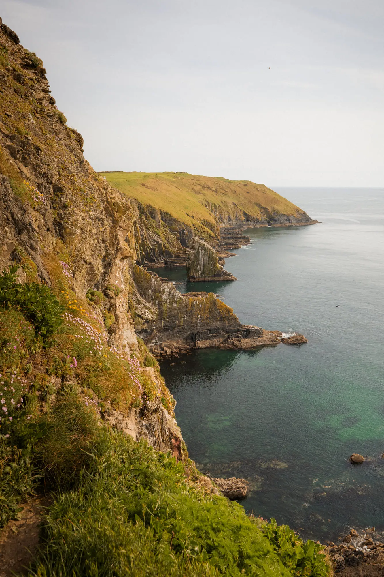 Coastal cliffs and calm water on a hazy Irish day