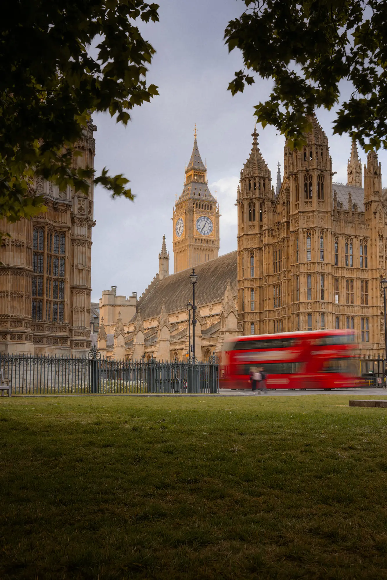 Big Ben and the Palace of Westminster framed by a plane tree, a red bus blurring past